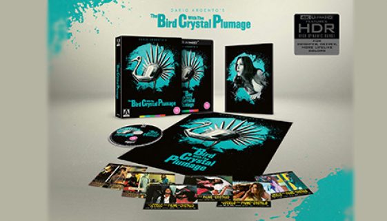 HeaderTBWTCP4KBluReview