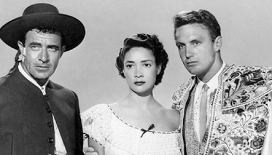 HeaderBullfighterReview