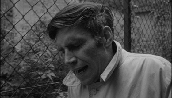 HeaderAWomanKillsReview