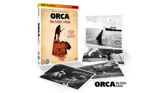 HeaderOrca4KReview