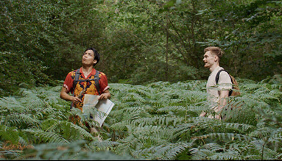 Header49MilesMoreReview